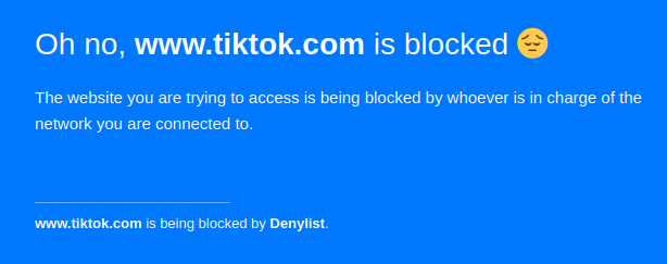Un écran propre indiquant clairement que TikTok est bloqué par l’adminstrateur